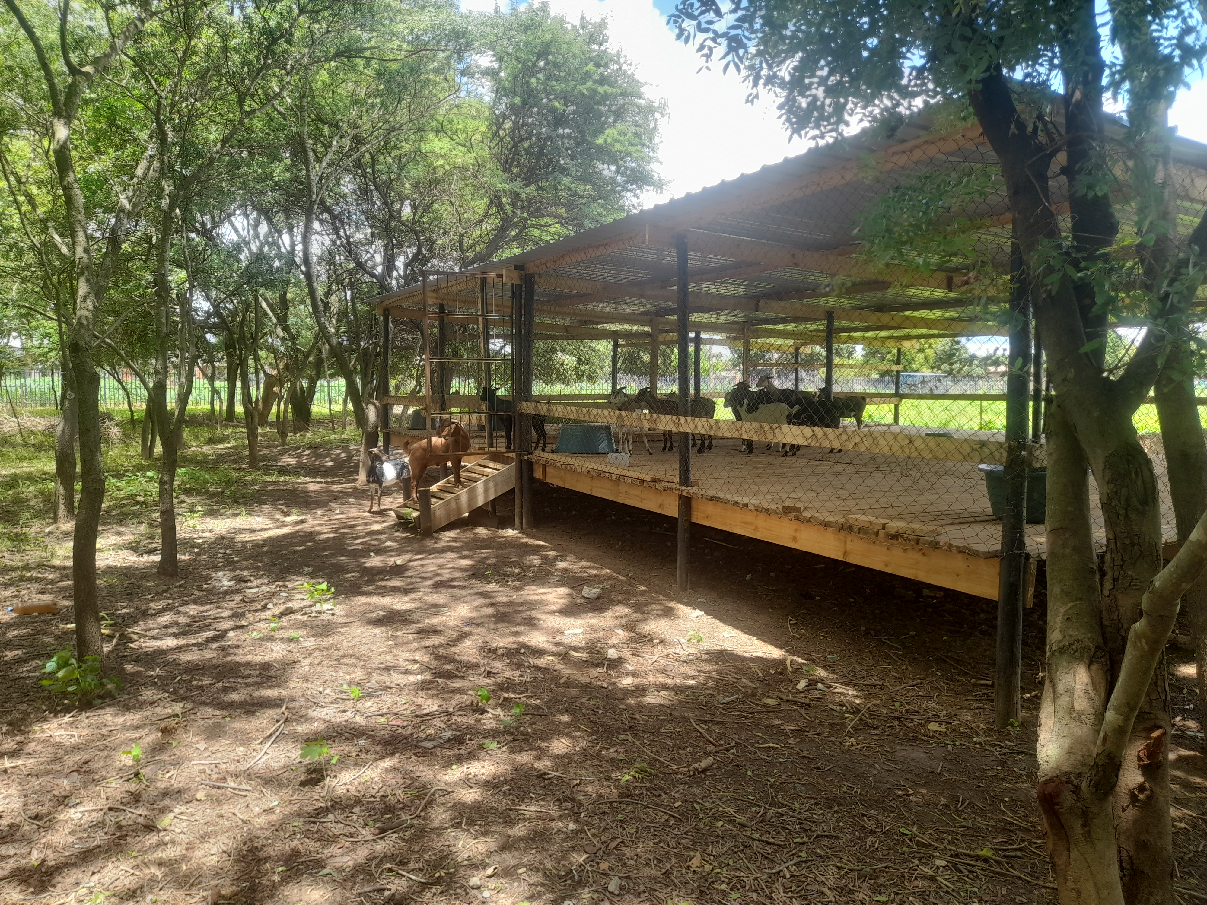 School Image